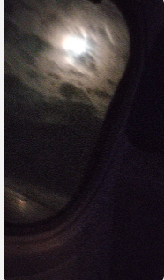 image-20231001182840395