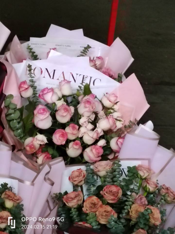 113ee553d8c2e029ff55e57ad8ce7f38